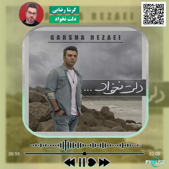 دانلود آهنگ دلت نخواد گرشا رضایی